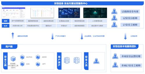 安恒信息領(lǐng)跑中國(guó)公有云托管安全服務(wù)市場(chǎng)，深化信息系統(tǒng)集成服務(wù)優(yōu)勢(shì)
